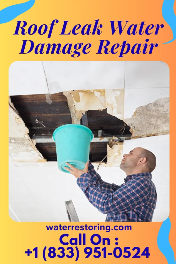 Roof Leak Water Damage Repair in San Leon, TX